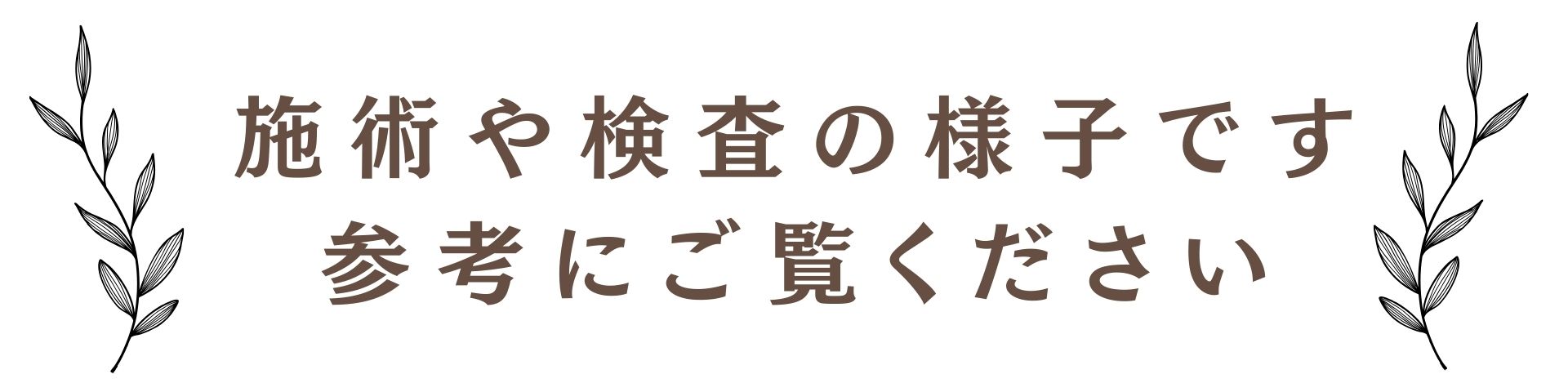 施術や検査の様子です。参考にご覧ください